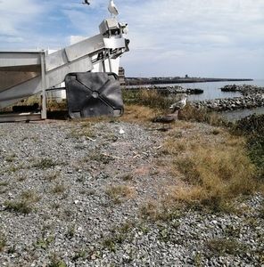 Meet your Posher, Paul rene